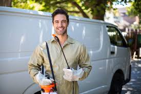 Emergency Pest Control Services in King Arthur Park, MT